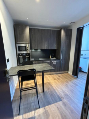 Appartement hyper centre de Grenoble